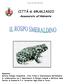 Il rospo smeraldino, Bufo viridis. CITTÀ di GRUGLIASCO. Assessorato all Ambiente