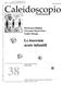 Caleidoscopio. Le leucemie acute infantili. I t a l i a n o. Pierfranco Biddau Giovanni Maria Fiori Giulio Murgia