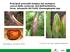 Principali avversità fungine del castagno: cancro della corteccia, mal dell inchiostro, fersa, micopatie dei frutti, Gnomognopsis spp.