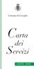 Comune di Cuveglio. Carta. dei. Servizi