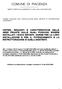 COMUNE DI PIACENZA AMBITO SERVIZI ALLE IMPRESE E TUTELA DEL CONSUMATORE NORME TECNICHE PER L INSTALLAZIONE DEGLI IMPIANTI DI DISTRIBUZIONE CARBURANTI