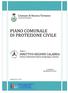 DIRETTIVA. Sistema di Allertamento regionale per il Rischio idrogeologico e idraulico in Calabria