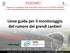 Linee guida per il monitoraggio del rumore dei grandi cantieri. Andrea Poggi