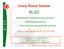Croce Rossa Italiana BLSD. Rianimazione cardiopolmonare di base e. (linee-guida scientifiche ERC-ILCOR 2005)