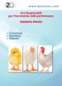 Eco-Responsabili per l incremento delle performance. Industria Avicola
