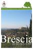 Comune di Brescia. Settore Manutenzione e Adeguamento Spazi Aperti - Servizio Verde Pubblico ed Arredo Urbano. Brescia. una città sempre più verde