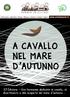 11 a Edizione - Una kermesse dedicata al cavallo, al divertimento e alla scoperta del mare d autunno...