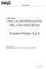 PER LA DISTRIBUZIONE DEL GAS NATURALE. Toscana Energia S.p.A.