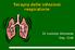 Terapia delle infezioni respiratorie. Dr Lorenzo Veronese Osp. Ciriè
