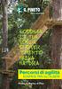 IL PINETO. Percorsi di agilità sospesi tra gli alberi. la tua voglia. timento nella natura. Pineta di Marina di Pisa.