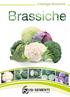 Catalogo Brassiche Frazione Ponte Ghiara 8/a, 43036 Fidenza Italy tel. +39 0524 528439 - Fax +39 0524 524255