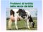 Problemi di fertilità nella vacca da latte