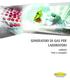 GENERATORI DI GAS PER LABORATORI. LABGAS Puri e semplici. www.zander.it