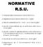 NORMATIVE R.S.U. 1. Premessa: dalle Commissioni Interne alle R.S.U. 2. Regolamento per le elezioni delle R.S.U. (1993)