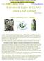 Estratto di foglie di OLIVO Olive Leaf Extract 2013 by Formula 10