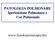 PATOLOGIA POLMONARE Ipertensione Polmonare e Cor Pulmonale. www.fisiokinesiterapia.biz
