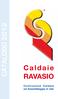 CATALOGO 2012. Caldaie RAVASIO. Costruzione Caldaie ed Assemblaggio in sito