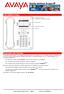 Guida telefoni Avaya IP