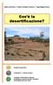 Cos è la desertificazione?