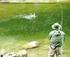 Regolamento per l esercizio della pesca dilettantistica nel Lago di Mezzola e nel Pozzo di Riva