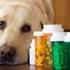 Il farmaco ad uso veterinario nella norma comunitaria e nazionale