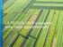 Tecnologie Smart & Green per le filiere agroalimentari