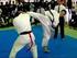 KARATE FIGHT CONTACT