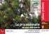Programma triennale di eradicazione della processionaria del pino (Traumatocampa pityocampa) nella regione Sardegna