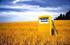 Lo sviluppo dei biocarburanti fra problematiche fiscali e indirizzi legislativi