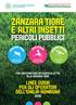 LINEE GUIDA PER GLI OPERATORI DELL EMILIA-ROMAGNA PER UNA STRATEGIA INTEGRATA DI LOTTA ALLA ZANZARA TIGRE. Chikungunya Dengue Zika