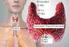 Thyroid diseases and pregnancy