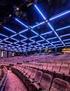 Soluzioni professionali d illuminazione con tecnologia a LED per centri sportivi indoor e outdoor. BBTel