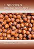 NOCCIOLO. Non è consentita la coltivazione di varietà costituite o provenienti da Organismi Geneticamente Modificati (OGM)