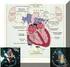 Coartazione aortica. Cardiopatie congenite con ostruzione all efflusso ventricolare sinistro. Coartazione aortica. Coartazione aortica