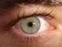 ANATOMIA E FISIOLOGIA OCULARE. L occhio. L occhio. Il vero trasduttore è la retina; tutto il resto serve a: