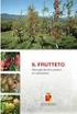 IMPIANTO FRUTTETO AMMORTIZZARE IN BREVE TEMPO GLI INVESTIMENTI IMPEGNATI EFFETTUARE LA PIÙ IDONEA MECCANIZZAZIONE DELLE OPERAZIONI COLTURALI