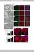 1 Acondroplasia FGFR3-GENE PCR/SEQ 30 S.ED. FGFR3-RE PCR/2RE 30 S.ED. 2 epidermolisi bollosa ereditaria PCR/SEQ PCR/STR