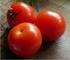 Valutazioni di cultivar di pomodoro da mensa «insalataro» e Cuor di bue