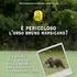 Strategia italiana di emergenza per combattere l'avvelenamento illegale e minimizzare il suo impatto su orso, lupo ed uccelli rapaci