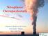 L esposizione a fibre d amianto: problema occupazionale e ambientale