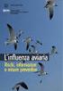 L INFLUENZA AVIARIA INFORMAZIONI INDICE . INTRODUZIONE . COS È L INFLUENZA AVIARIA . PERCHE L INFLUENZA AVIARIA DEVE ESSERE TENUTA SOTTO CONTROLLO: