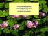 Capitolo 34 I funghi, le piante e la colonizzazione delle terre emerse. Copyright 2006 Zanichelli editore