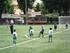 Calcio a scuola. Tema del mese Sommario. Categorie