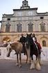 ELENCO GIUDICI DELLE MANIFESTAZIONI DEL CAVALLO DA SELLA