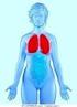 La diagnostica per immagini del polmone e della pleura nelle patologie correlate all amianto
