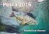 Regolamento per l esercizio della pesca nelle acque pubbliche interne della provincia di Belluno. - Gennaio 2012-