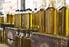 Valutazione dei macro e micro componenti dell olio di oliva