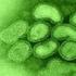 Dati di sorveglianza delle malattie batteriche invasive aggiornati al 4 aprile 2016