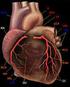 Le sindromi coronariche acute: la valutazione biochimico-clinica