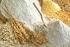 I pi) comuni cereali sono : grano o frumentofarro segale orzoavenariso miglio! Di uso pi) recente e di origine *esotica+ il mais e l$amaranto!
